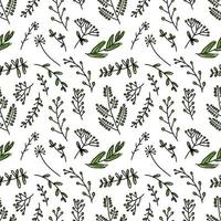 hand drawing seamless pattern botanical greenery leaves vector