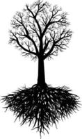 raíz de árbol viejo vector