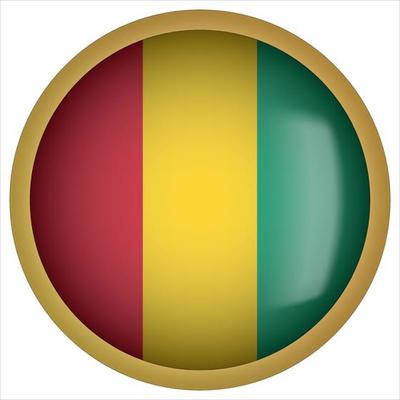 Guinea 3D rounded Flag Button Icon with Gold Frame