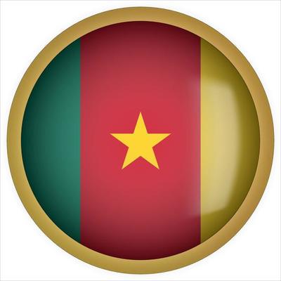 Cameroon 3D rounded Flag Button Icon with Gold Frame