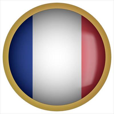 France 3D rounded Flag Button Icon with Gold Frame