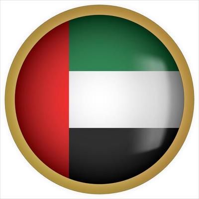 United Arab Emirates 3D rounded Flag Button Icon with Gold Frame