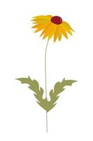 Yellow Blooming Flower. vector