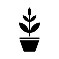 plant in the pot icon vector