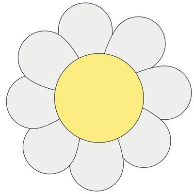 Chamomile flower illustration