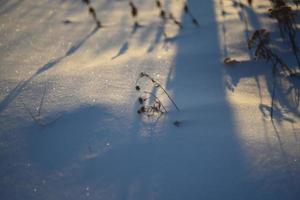 Snowy landscapes and snow close-up in sunbeams. Grass and objects in the snow.