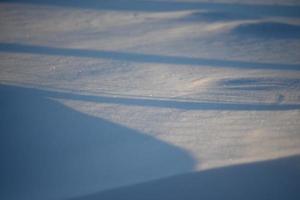 paisajes nevados y primeros planos de nieve en rayos de sol. hierba y objetos en la nieve. foto