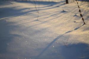 Snowy landscapes and snow close-up in sunbeams. Grass and objects in the snow.