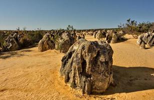 The Pinnacles of Nambung National Park are amazing natural limestone structures, some standing as high as five metres. Western Australia. photo