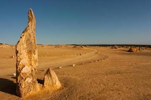 los pináculos del parque nacional de nambung son asombrosas estructuras naturales de piedra caliza, algunas de las cuales alcanzan los cinco metros de altura. El oeste de Australia. foto