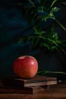 The apples on the plate look like oil paintings under the dim light on the wood grain table photo