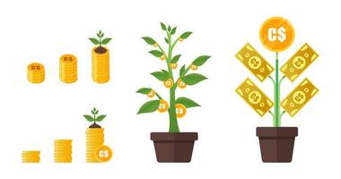 Canadian Dollar Money Tree Growing vector