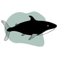 Cute shark. Vector illustration. Decorative Element for design and decor in style of handmade doodle