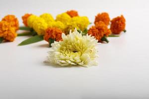 Marigold Flower rangoli Design on white background. photo