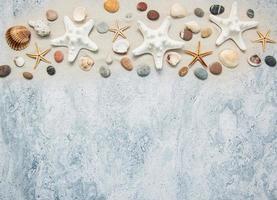 Seashells and starfish border photo