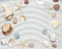 Seashells and starfish border photo