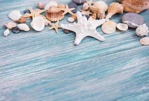 sea shells on a  wooden table