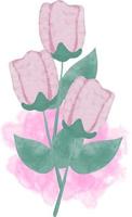 Pink Rose Flower in Watercolor vector