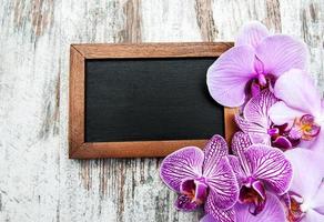 Blackboard and orchids photo