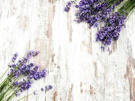 bunch of lavender photo