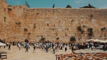 Cinemagraph of birds fly at the Western wall in the old city of Jerusalem Israel video