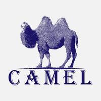 camello vintage logo ilustración, vector, símbolo, animal, diseño, signo, gráfico, silueta, aislado, naturaleza, arte, fondo, árabe, icono, salvaje, turismo, emblema, viaje, desierto, árabe, egipto vector