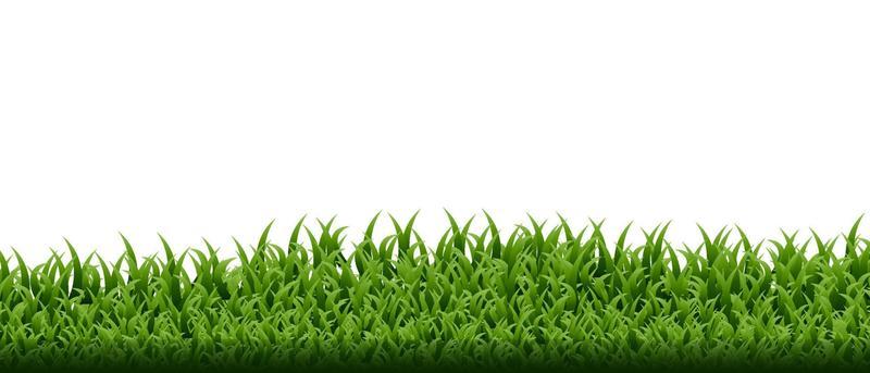 Green grass border set