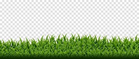 Green grass border set on transparent background vector