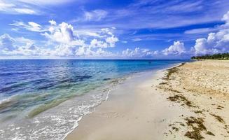 Tropical mexican beach panorama Playa 88 Playa del Carmen Mexico. photo