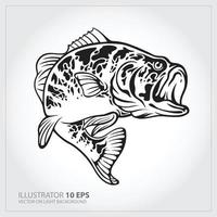 ilustración vectorial de un pez lubina saltando en fondo blanco hecho en estilo retro.