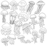 Set of 18 contour drawing of jellyfish of different species, coloring page with sea underwater inhabitants vector