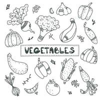 Cute black line doodle set about vegetables, carrot, garlic, onion, pumpkin, zucchini, beet, pepper, tomato, cucumber. vegan food. harvest vector