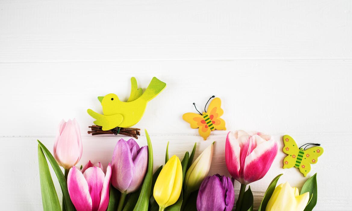 Spring Objects Stock Photos, Images and Backgrounds for Free Download
