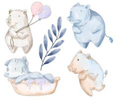 watercolor set of lovely pig in difference action vector