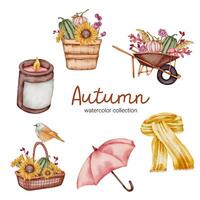 conjunto de flores de otoño de acuarela y diseño de objetos combinados con manchas pintadas a mano. vector
