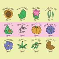 Icon cartoon flat set. Organic seed and flower oil. Sunflower, rose, peppermint, avocado, pumpkin, almond, eucaliptus, rosemary, black cumin, linseed, hemp, tea tree. Eco food, cosmetics ingredients vector