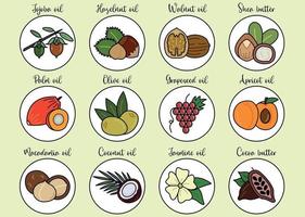 Nut, seed and flover oil line icon set. Collection of colorful ingredients for plant oil and butter. Flat vector illustration