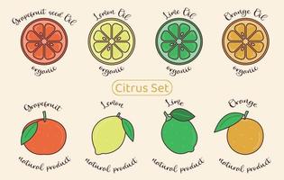 Colorful citrus icon set. Grapefruit, lime, lemon, orange. Whole and sliced fruit. Organic citrus oil for natural cosmetics and food. Doodle flat vector illustration