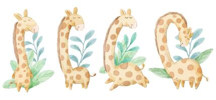 Vector illustration watercolor Set of adorable Giraffe For Your Design.