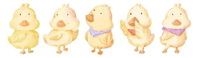 Vector illustration watercolor Set of adorable Duck For Your Design.