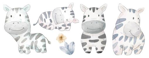 Vector illustration watercolor Set of adorable Zebra For Your Design.