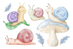 Vector illustration watercolor Set of adorable snail For Your Design.