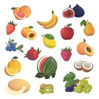 Set of 18 pieces of different fruits on a white background - Vector