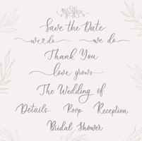 Set of Wedding calligraphic template inscriptions with smooth lines. vector