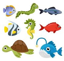 Set of sea creatures on white background vector