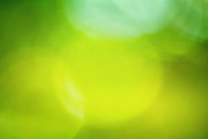 Natural green background. Defocus light green background. photo