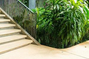 stair step with tropical tree photo