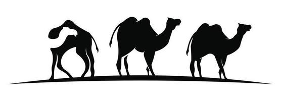 Silhouette of camel and young small camel,Vector camel vector