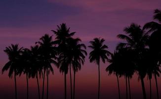 la puesta de sol de la silueta de las palmeras en la isla de langkawi. foto