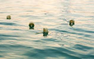 Fishing nets and ropes floating on the sea. photo